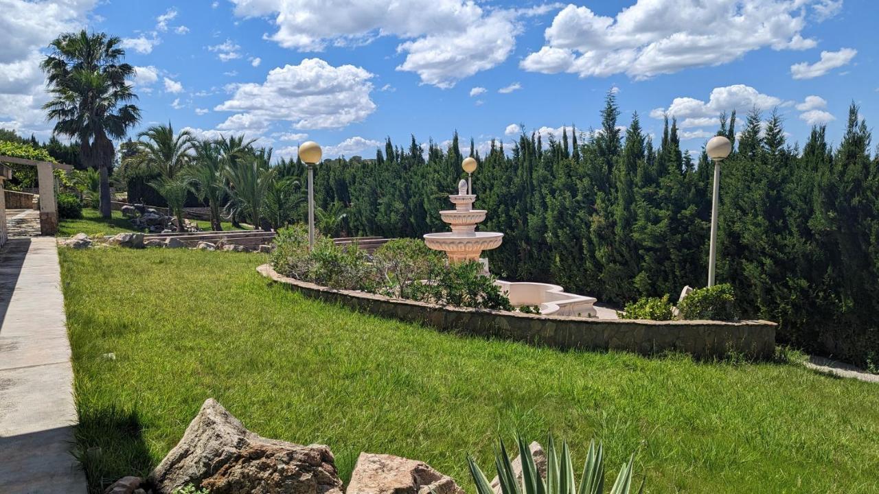 El Collado * Cullera