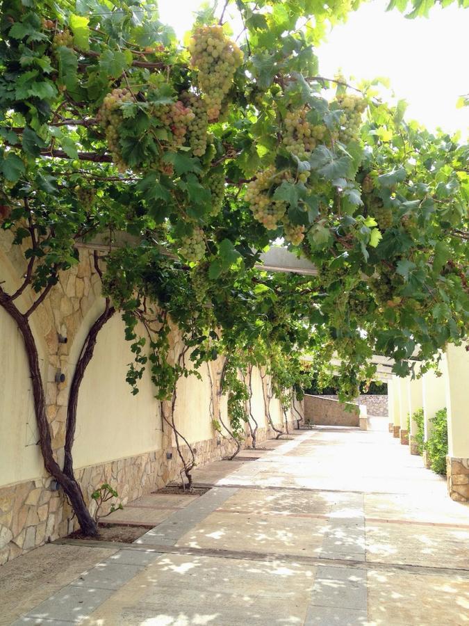 El Collado Hébergement de vacances